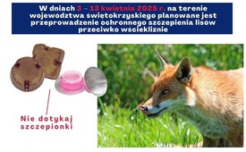 Szczepienie lisów przeciwko wściekliźnie 3 – 13 kwietnia 2025 r.