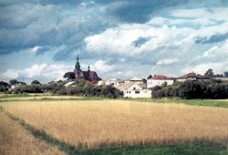 Środowisko
