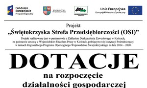 zdjecie na stronie o tytule: Świętokrzyska Strefa Przedsiębiorczości (OSI)