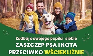 zdjecie na stronie o tytule: Szczepienia psów i kotów przeciwko wściekliźnie - grudzień 2024