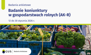 zdjecie na stronie o tytule: Badanie koniunktury w gospodarstwach rolnych (AK-R)