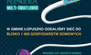zdjecie na stronie o tytule: Cyfryzacja Gminy Łopuszno trwa!